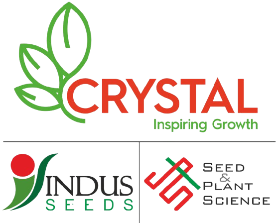 I&B Seeds