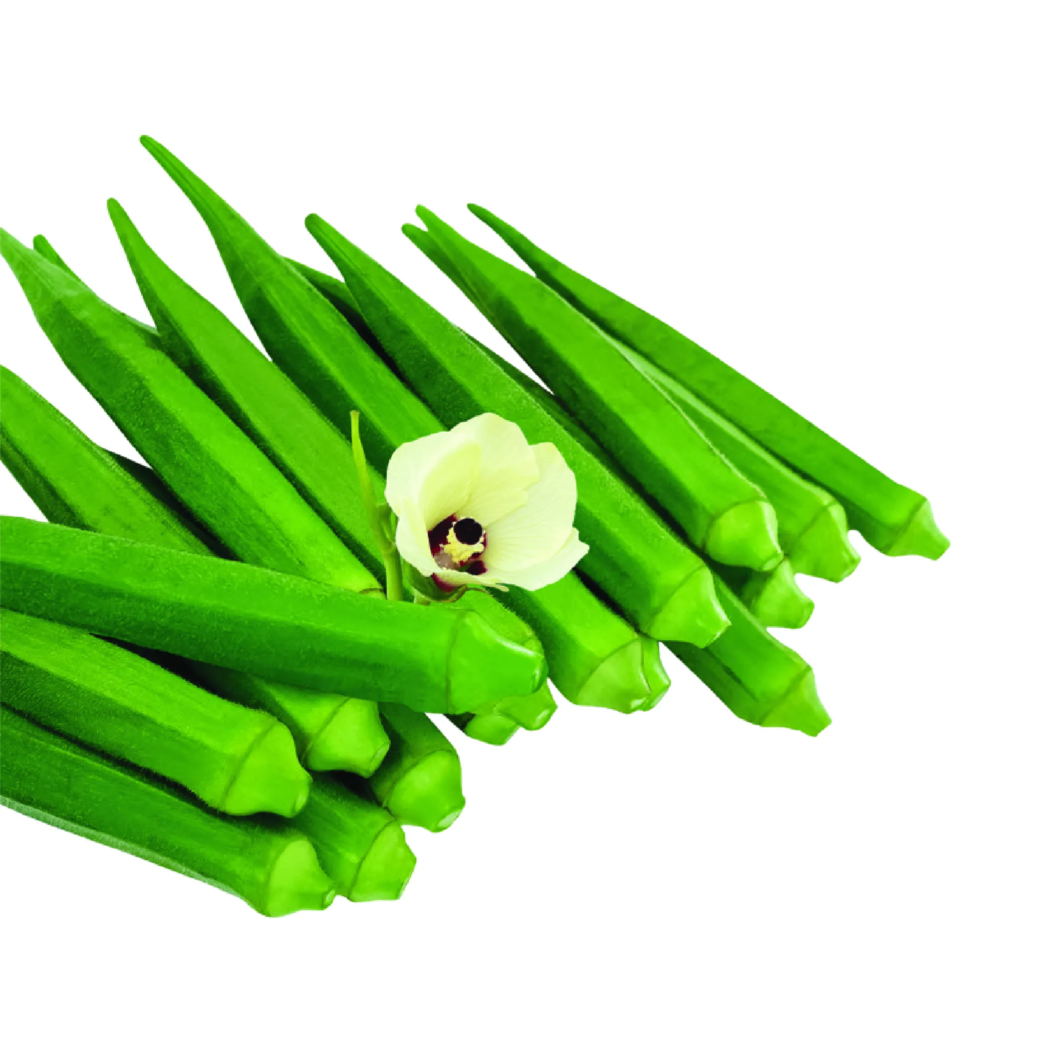 Bhendi-Okra