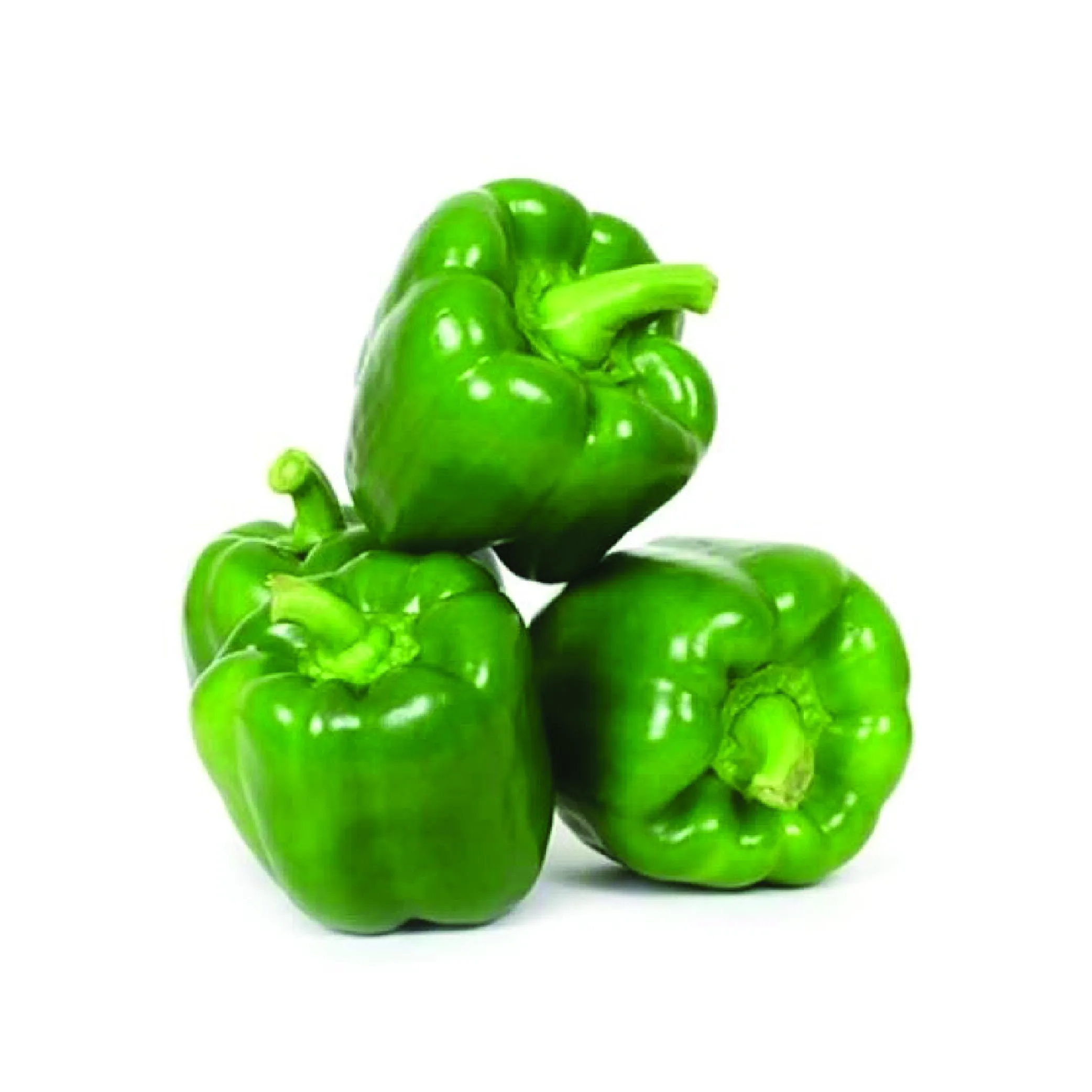 Capsicum