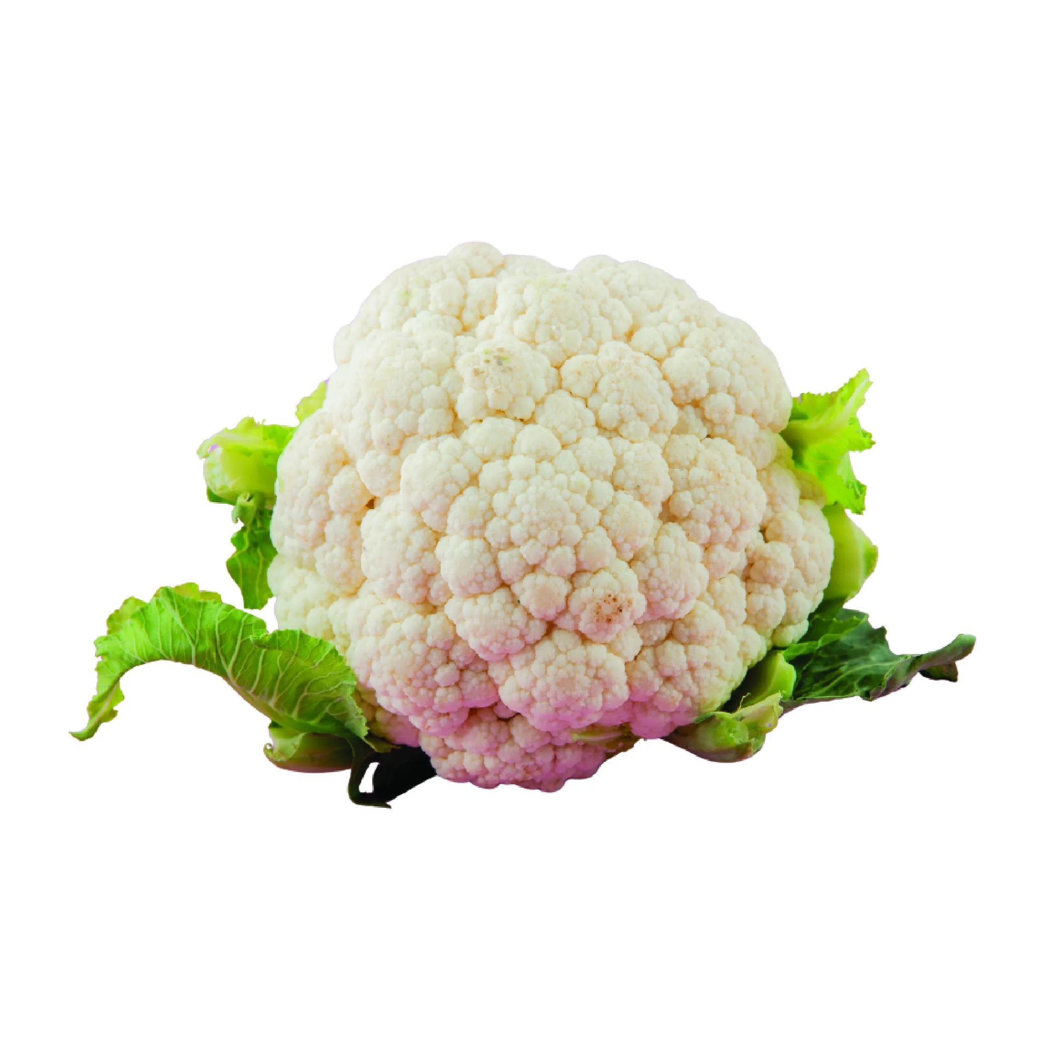 Cauliflower