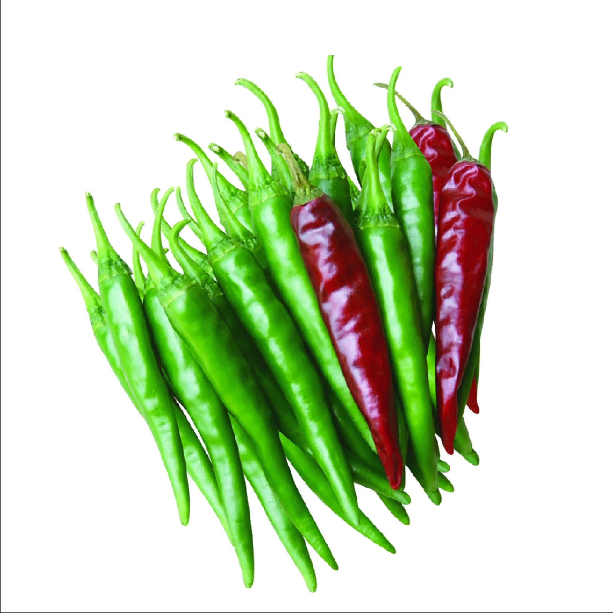 Chilli