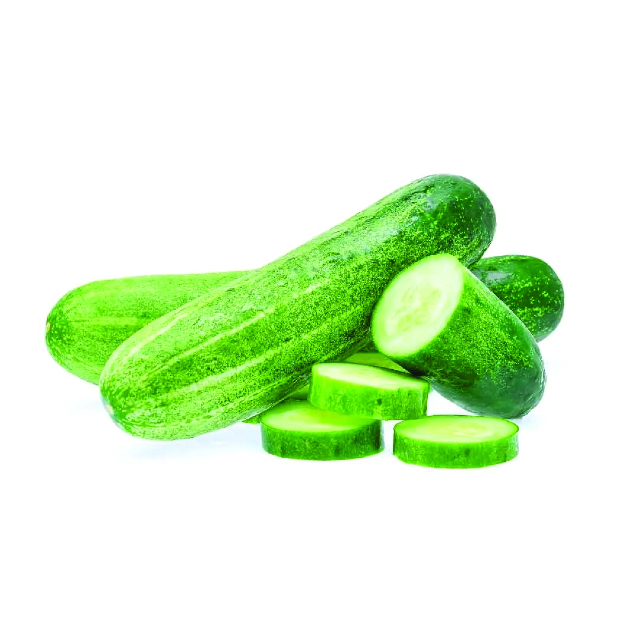 Cucumber