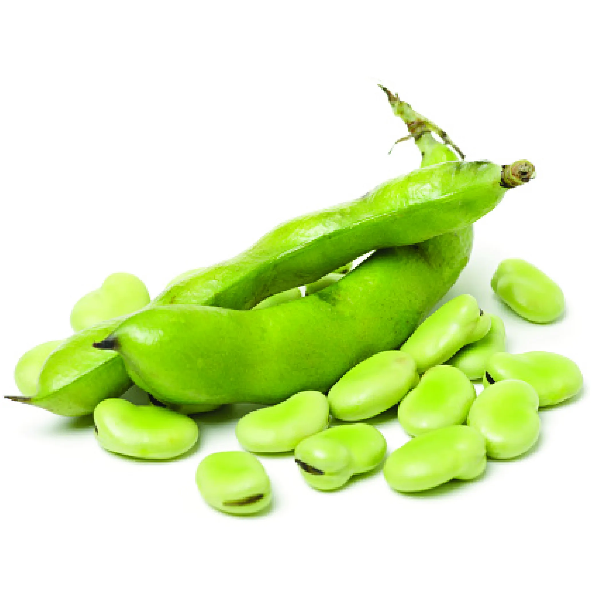 Dolichos Beans