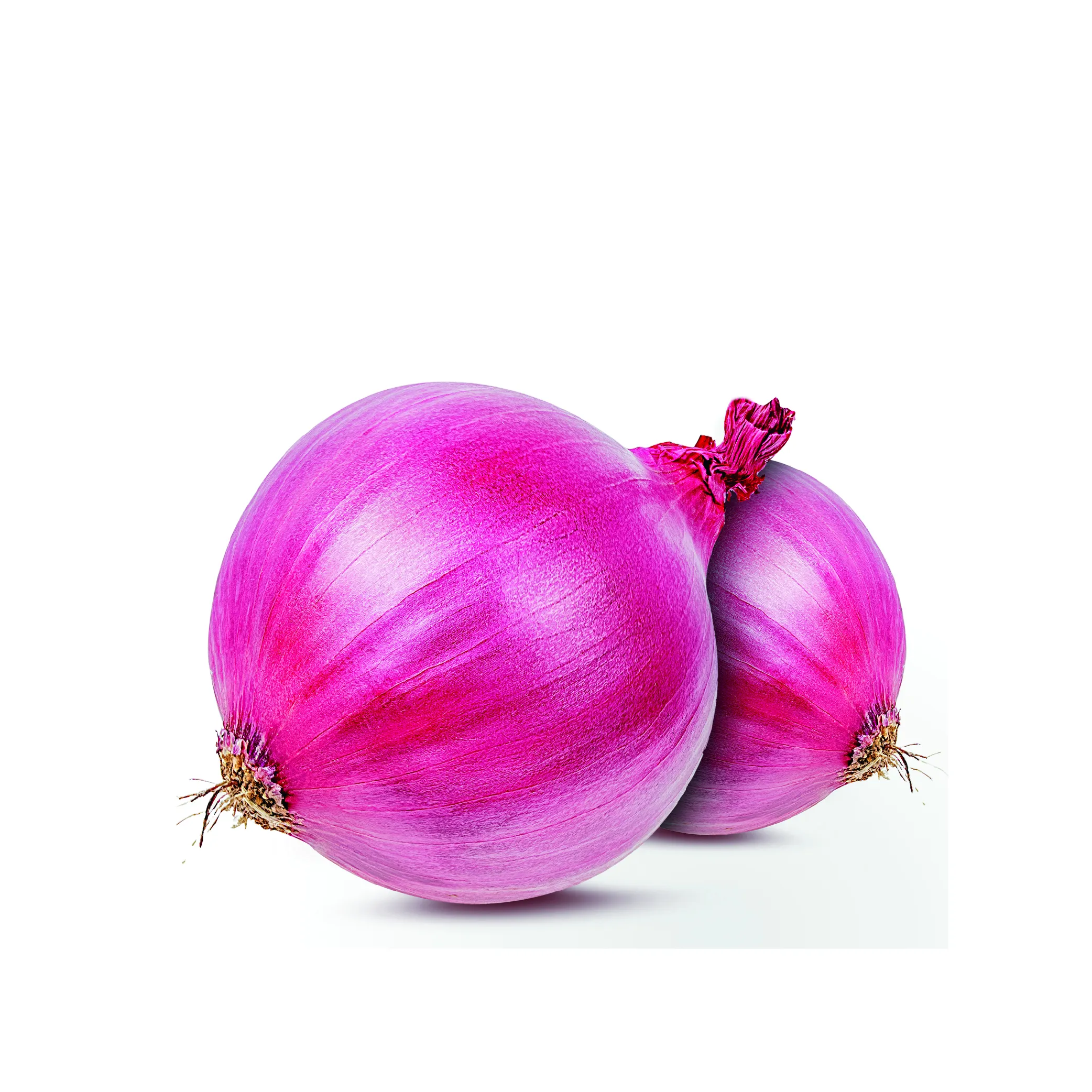 Onion