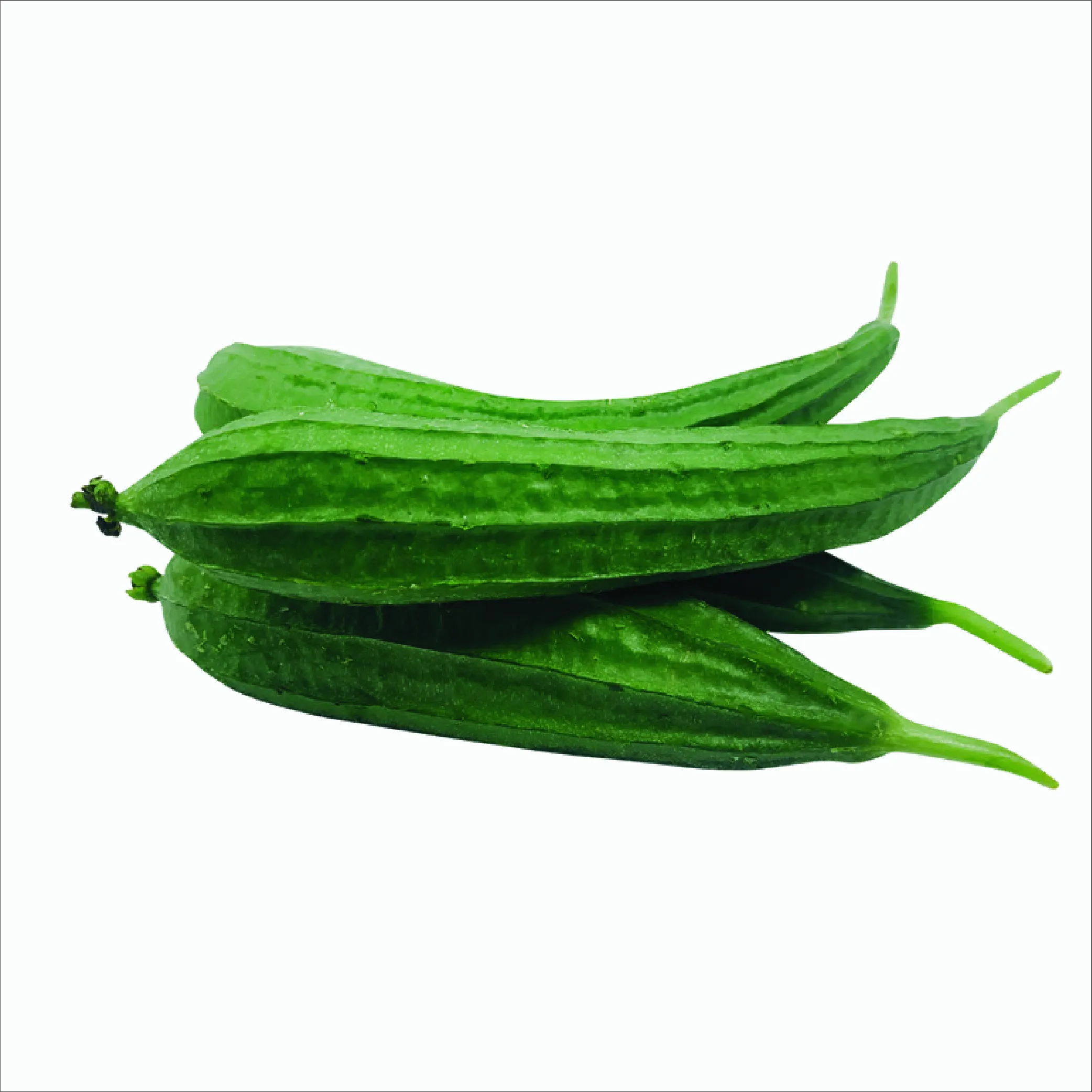 Ridge Gourd