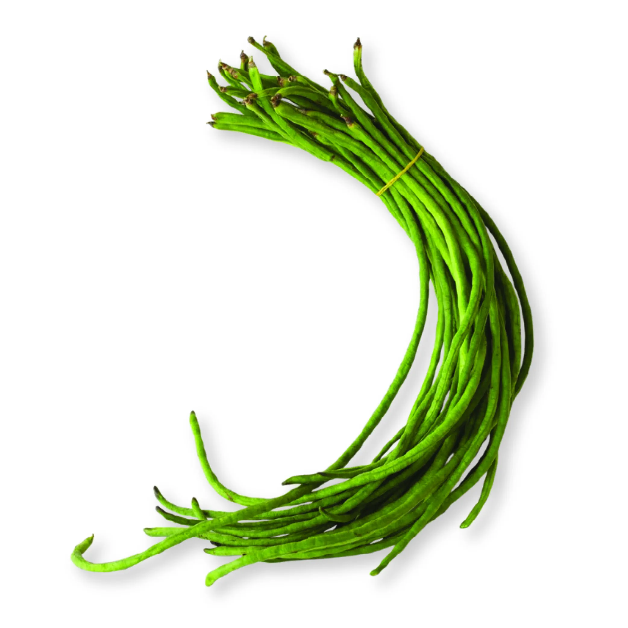 Yard Long Beans