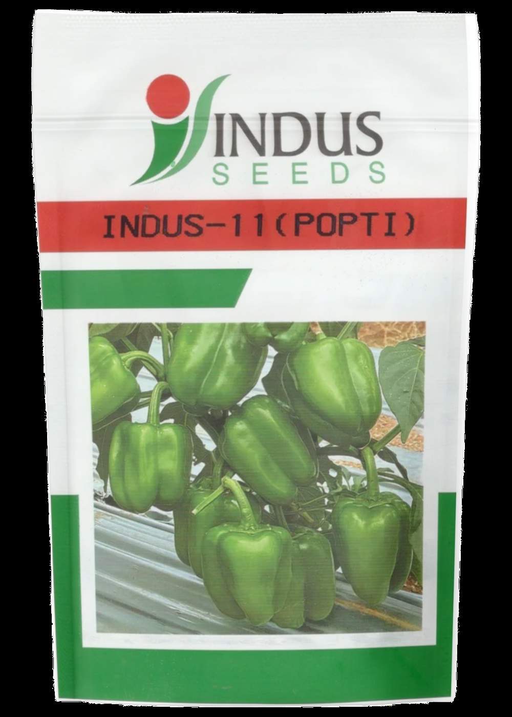 CAP-2829 (Popti)